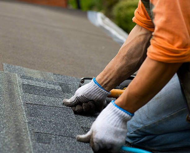 Best Roof Gutter Cleaning  in Thorntown, IN